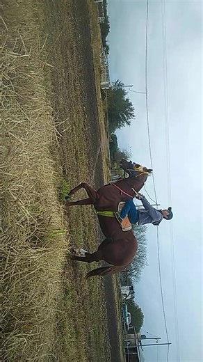 Alexis vera on TikTok