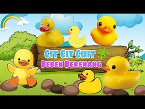Lagu Anak Cit Cit Cuit Bebek Berenang 💕 Lagu Anak Indonesia Terpopuler