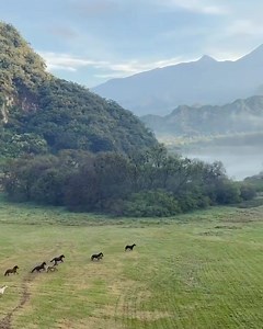354K views · 3K reactions | Hacienda de San Antonio, Comala, Colima. México ❤ Video:Jose Villa Vía https://instagram.com/josevilla | Mexicanos | Facebook