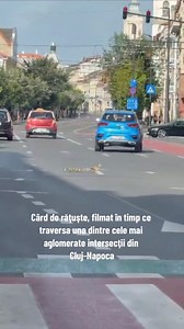 1.4M views · 10K reactions | Mai exact, pe bulevardul 21 Decembrie, într-una dintre cele mai aglomerate intersecții din orașul Cluj-Napoca, rățuștele s-au strecurat printre mașini și au reușit să traverseze strada fără probleme. Imaginile, surprinse de un șofer, au devenit virale pe internet. #Cluj | Cluj | Facebook