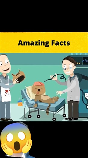 The Curious Story of the Cat Telephone! || #shorts ||#FactBeast