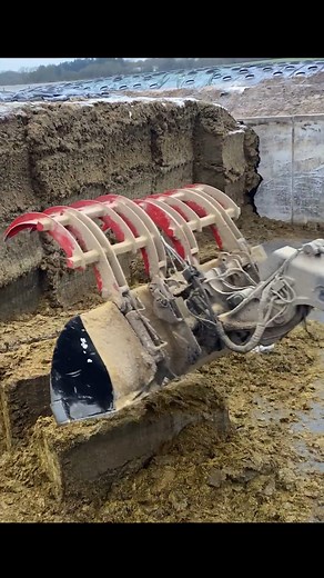 2.2M views · 9.3K reactions | Girl Tractor Driver Loading Silage on a Cow Farm #cow #farm #tractor | Eliana Ivy | Facebook