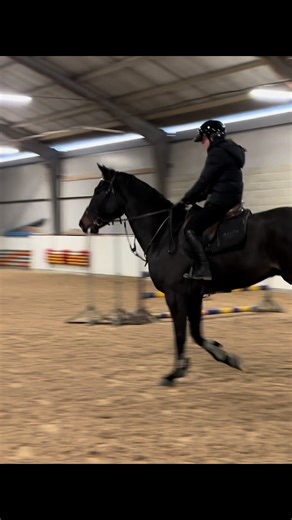 Exploring the Zune in Equestrian Adventures