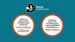 1.3K views · 19 reactions |  A huge thank you to our new Marine...