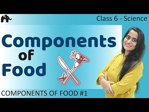 Need for Food | Components of Food #1 | Class 6 Science
