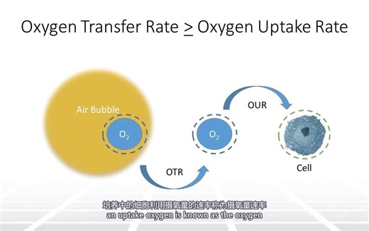 生物反应器的工艺放大(搬运)-part1