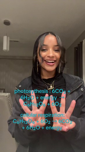 Understanding Cellular Respiration and Photosynthesis