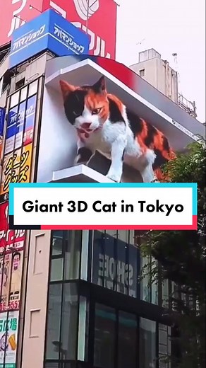 New giant 3D cat in Shinjuku Tokyo📍 #japantiktok #japan #shinjukucat #3Dcat #shinjuku #tokyo