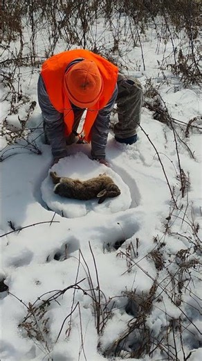 I love rabbit hunting