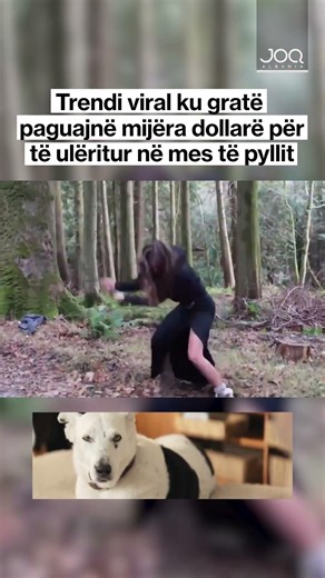 Trendi viral ku gratë paguajnë mijëra dollarë për të ulëritur në mes të pyllit