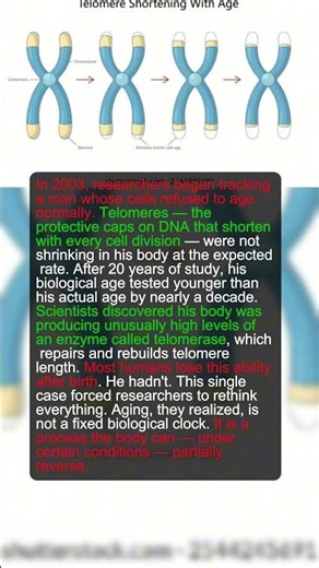 A Man Stopped Aging at 45. Scientists Studied Him for 20 Years and Found This.