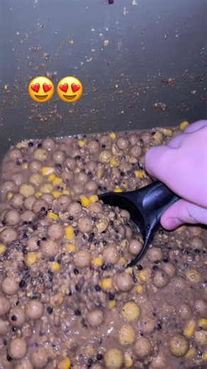 Lovely Carp Fishing Adventure with Fox Tackle