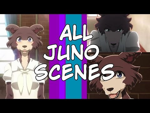 Beastars - All Juno Scenes (S1) [1080p] HD (Google Drive) ビースターズジュノ