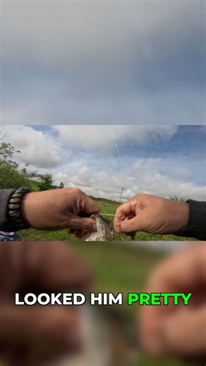 This Simple Rig Catches Bass Every Single Time #fishing #technique #shorts