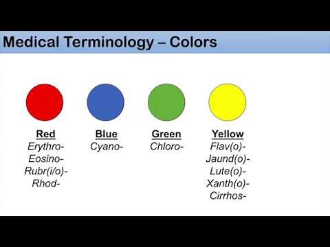 Medical Terminology - The Basics, Lesson 1.1 - Colors