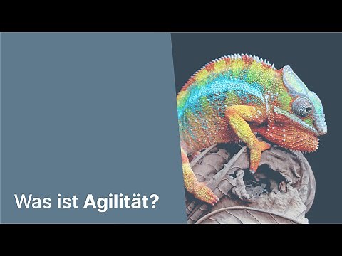 Was ist Agilität?