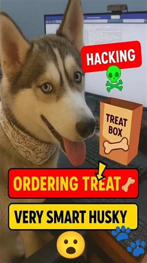 My Husky Tried to HACK My PC 😂💻🐾 #funnydogs #dogshorts #smarthusky