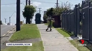 It's magpie swooping season, but this bird seems angrier than most. It repeatedly attacked a young boy as he rode his scooter south of Sydney. More: https://7news.link/2HGkmhp #7NEWS | 7NEWS Adelaide