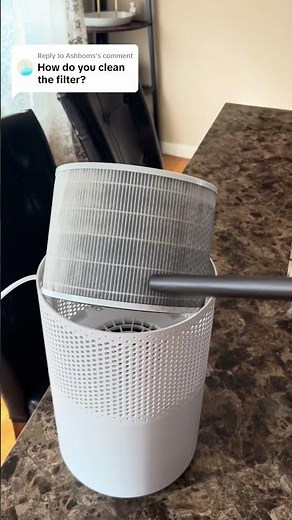 How to clean & replace your air purifier filter #airpurifier #levoit