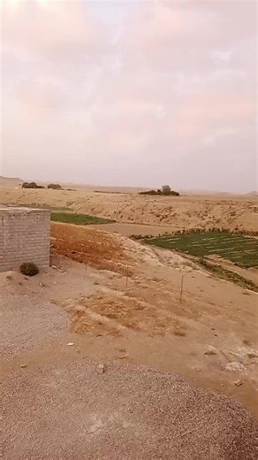 Rural Outdoor Scenes: Serene Agricultural Landscapes