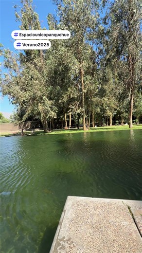 Espacio Único en Panquehue: Verano 2025