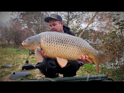 𝕻𝖊𝖙𝖗 𝕹𝖆𝖏𝖒𝖆𝖓 vysílá živě ze svazu.. Petr a kmona