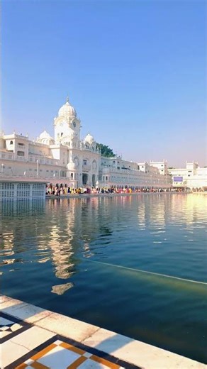 Golden Temple Amritsar #goldentemple #goldentempleamritsar #amritsarpunjab #amritsar