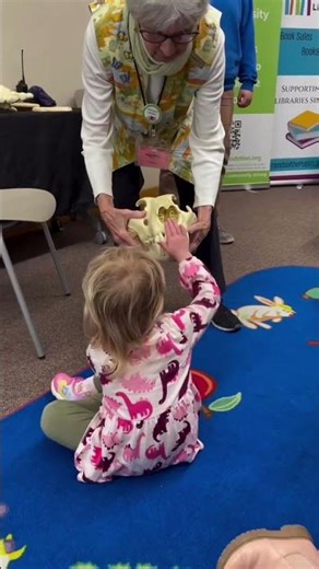 Story Times in Albuquerque