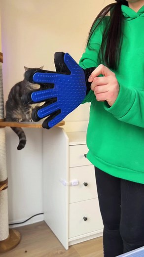 Cat Grooming Tips with Furminator Products