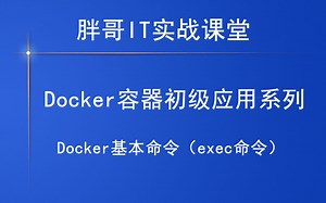 Docker基本命令（exec命令）上，你学会了吗？