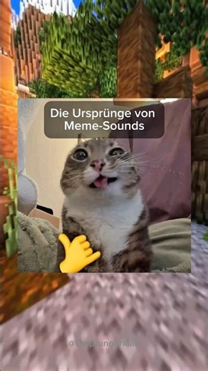 Die Ursprünge von Meme-Sounds (10)