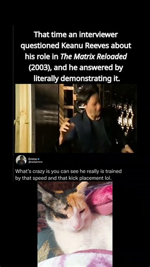that time an interviewer questioned Keanu Reeves about his role in The Matrix Reloaded (2003)