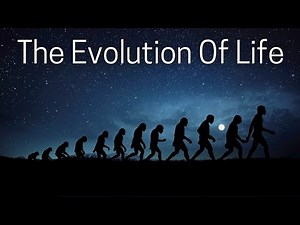 The Origin of Life on Earth Explained | How Life Began