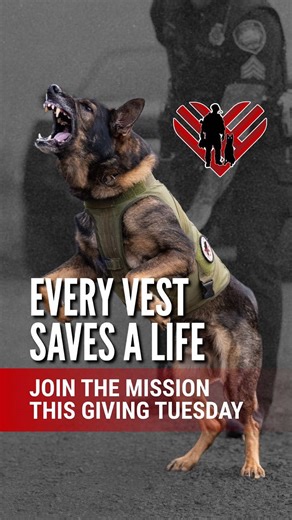 Every day, working dogs risk their lives to protect ours, and a ballistic vest can mean the difference between life and loss. With one week left until Giving Tuesday, you can help bring more K9s home safe. Every dollar counts. Every vest saves a life. 🐾 ❤️ Vest a K9, protect a community: spikesk9.org/giveprotection2025 #SpikesK9 #SpikesK9Fund #GivingTuesday #GiveProtection #ProtectWorkingDogs