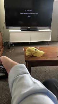 Opening to the Incredibles 2005 DVD