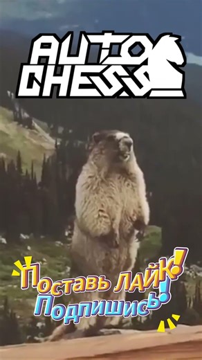 It's STILL IN BETA! This isn't AUTO CHESS, it's AUTO STRESS.