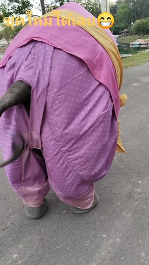 426K views · 21K reactions | ตูดใครหว่าน่าตีจังเลย #น้องเพชรจ้าสายเด้ง | แม่น้อยหน่า เพชรจ้า | Facebook