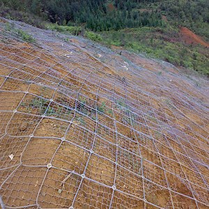 [Hot Item] Wire Netting Rockfall Protection Systems Metal Mesh