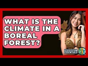 What Is The Climate In A Boreal Forest? - Ecosystem Essentials