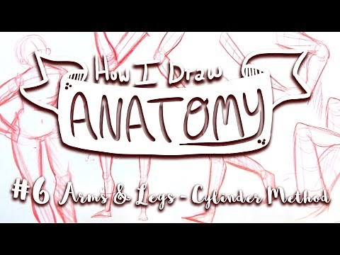 How I Draw ANATOMY #6: ARMS & LEGS - Cylinder Method - MissKerrieJ -