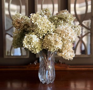 Dried Limelight Hydrangea Blooms | Natural Green-cream-pink Florals for Crafts, Weddings & Home Décor - Etsy