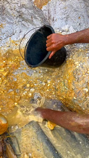 ‎Mining gold | Panning for gold | Prospección de oro | Gold prospecting | Sluice box | Minería de oro | Mina de oro | prospecção de ouro | 금 채굴 | تعدين الذهب | 开采黄金 | добыча золота‎ Bagian 6 | Arsenio Gold Hunting