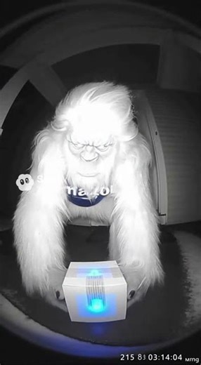 Sora 2: My doorbell cam caught this at 3AM... 😳 #shorts #sora #relax #soralife #sora2 #tea