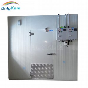[Hot Item] Cold Room Frozen Storage Room Chiller Room Cold Store for Meat/Chicken/Fish