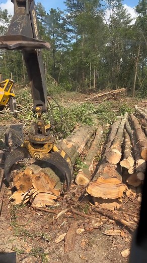 Who else has daily conversations with their coworkers? #logging #forestry #work #coworkers #tigercat #fyp #comedy | Jazlyn Smith