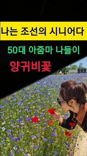 50대 아줌마의 양귀비꽃밭 힐링 산책 #50대 #시니어 #힐링산책 #양귀비