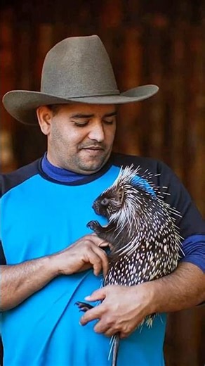 Don’t Touch This Porcupine 😳