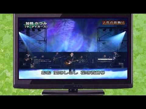 加橋かつみ（ザ・タイガース） ♪花の首飾り