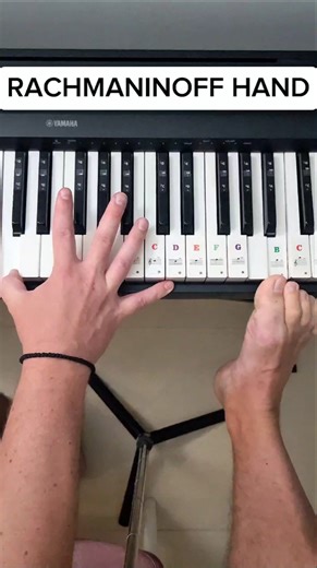 Pianists hand SIZE #piano #pianotutorial #classicalmusic