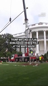 President Donald Trump attentively watched workers install a flagpole on the White House South Lawn. After monitoring the installation of the flag pole, the president returned later to see workers hoist a large American flag on the new pole. | AP
